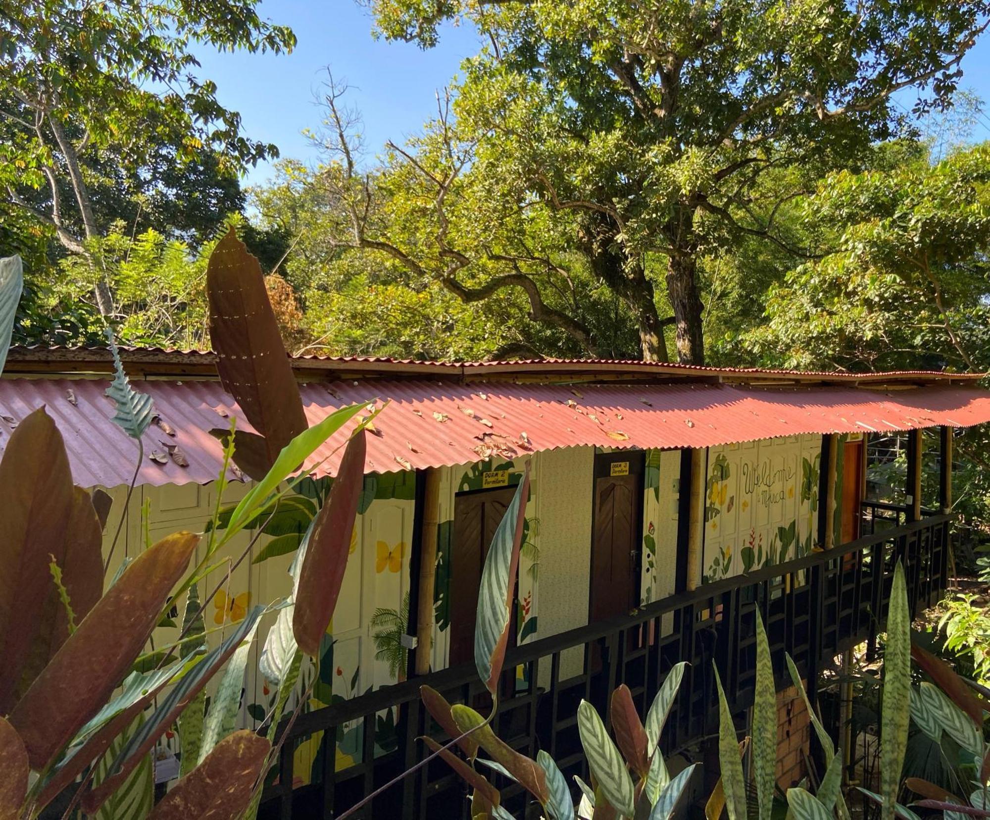 Hostal Las Mariposas Minca Hostel Exterior photo