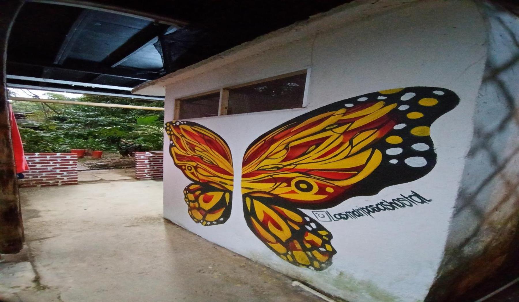 Hostal Las Mariposas Minca Hostel Exterior photo